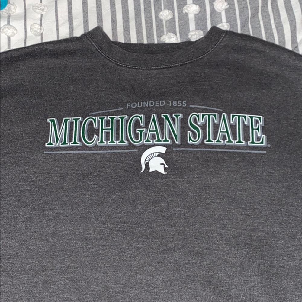 Jansport Michigan State crewneck